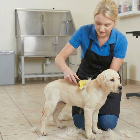Rastrillo Quitapelo Pequeño Moly Confort para Mascotas