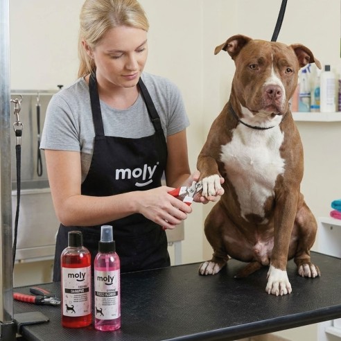 Cortauñas Moly Confort: Cuidado Perfecto para tus Mascotas