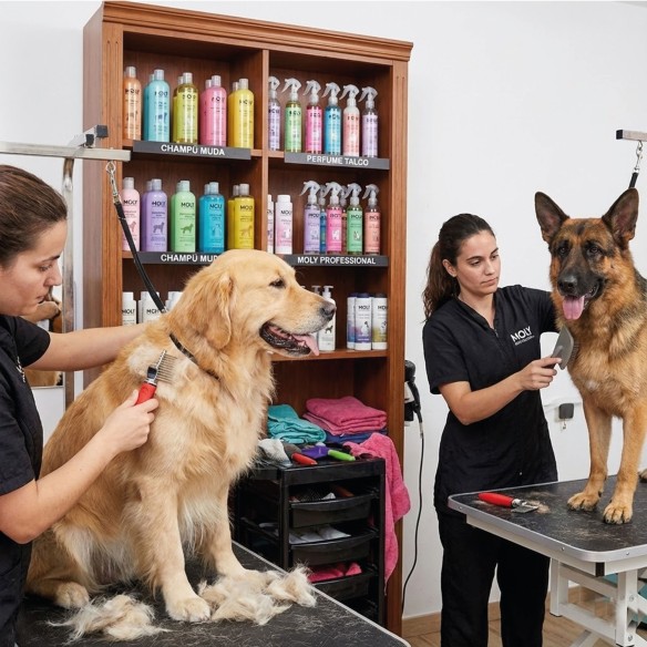 Peine Cortanudos Moly Confort para Peluquería de Mascotas