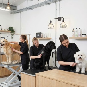 PEINE DOBLE MOLY CONFORT 2