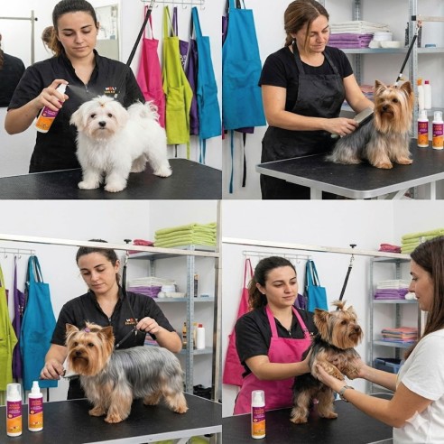 Aceite de Visón York Oil 200ml para un pelaje radiante