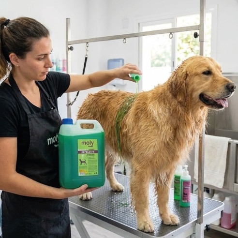 Champú Menta Fresh 5L: Protección y frescura para tu perro