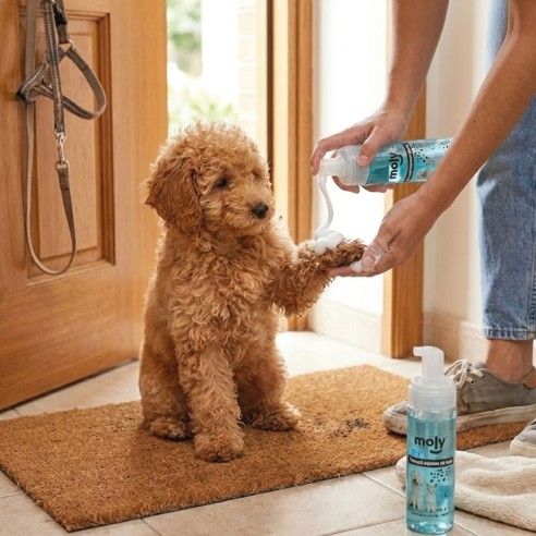 Champú Espuma en Seco 150ml para un Baño Rápido y Eficaz