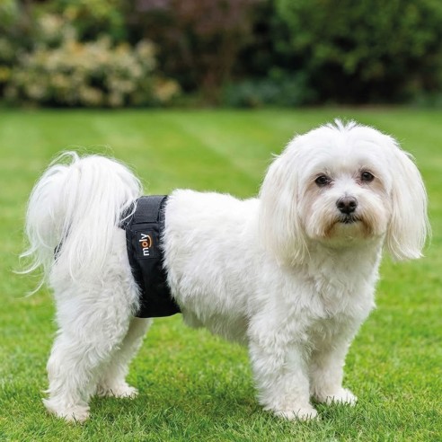 Slip Nylon Extra para Perros de 40-49cm - Confort y Limpieza