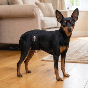 SLIP NYLON EXTRA N.1 24-31cm 2