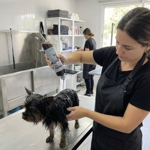 CHAMPU PELO NEGRO 500 ML -  2