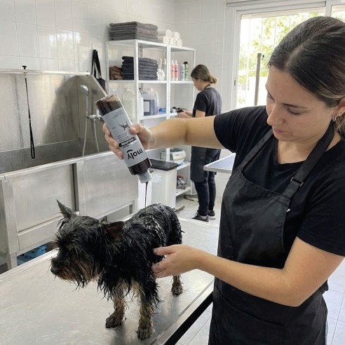 Champú Pelo Negro 500 ml - Brillo y Color Intenso para Perros