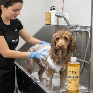 CHAMPU ACEITE DE VISON 500 ML 2