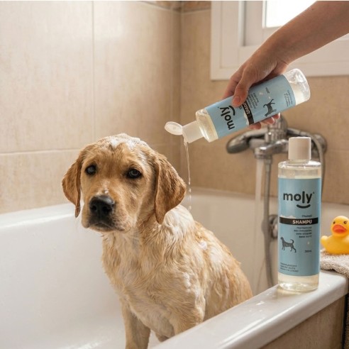 Champú Uso Frecuente 500 ml para Perros - Suave y Efectivo