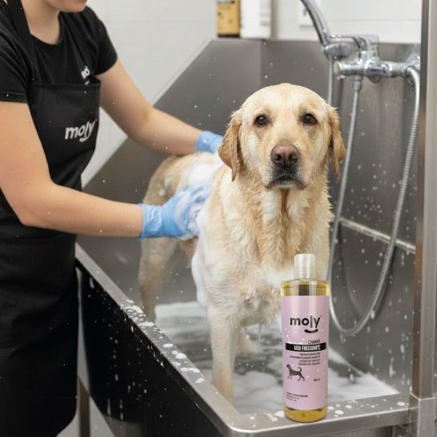 Champú Uso Frecuente 500 ml para Perros - Suave y Efectivo