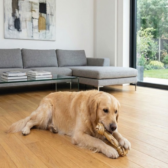 Hueso Nudo 26cm Moly: Snack Saludable para tu Perro