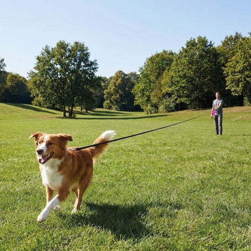 Correa Flexi New Classic XS 3M - Ideal para tu mascota