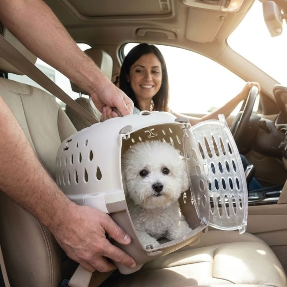 Transportín Travel Chic: Comodidad y Estilo para Mascotas