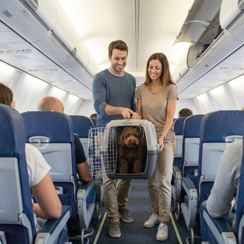 Transportín Gulliver N.2: Comodidad y Seguridad para Mascotas