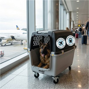 TRASPORTIN GULLIVER IATA N.7 2