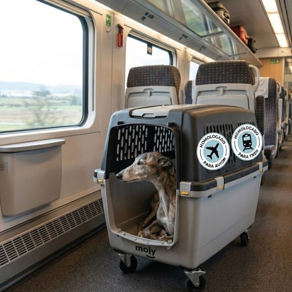 Transportín Gulliver IATA N.6: Comodidad y Seguridad para Mascotas