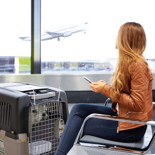 Transportín Gulliver IATA N.5 para Perros de 25-30 Kg 2