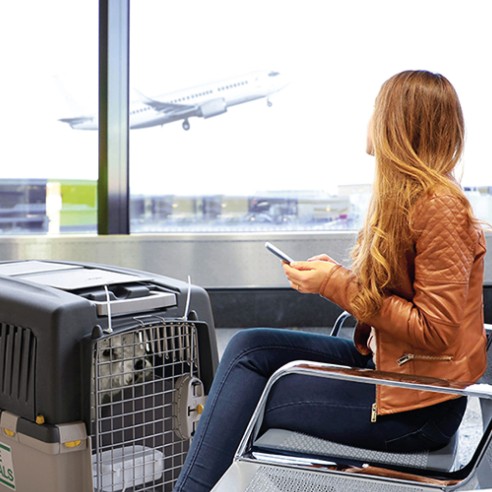 Transportín Gulliver IATA N.5 para Perros de 25-30 Kg