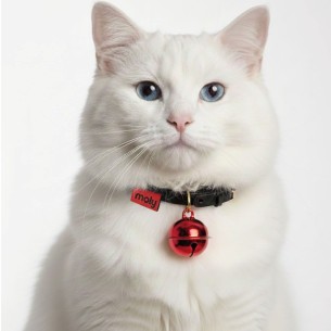 Cascabeles de Color para Mascotas - Expositor x 24 Unidades 2