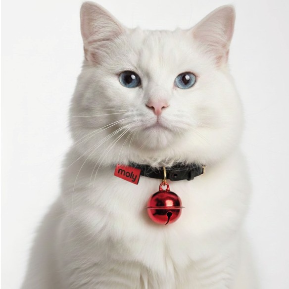 Cascabeles de Color para Mascotas - Expositor x 24 Unidades