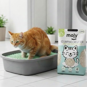 Arena de Tofu-Soja Carbón Activo-Biodegradable para Gatos 2,8 kg | Ecológica, Aglomerante y Natural – Moly-8,4 Litros 2