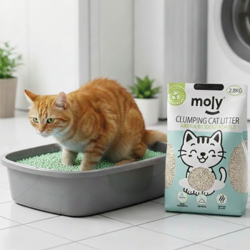 Arena de Tofu-Soja Carbón Activo-Biodegradable para Gatos 2,8 kg | Ecológica, Aglomerante y Natural – Moly-8,4 Litros