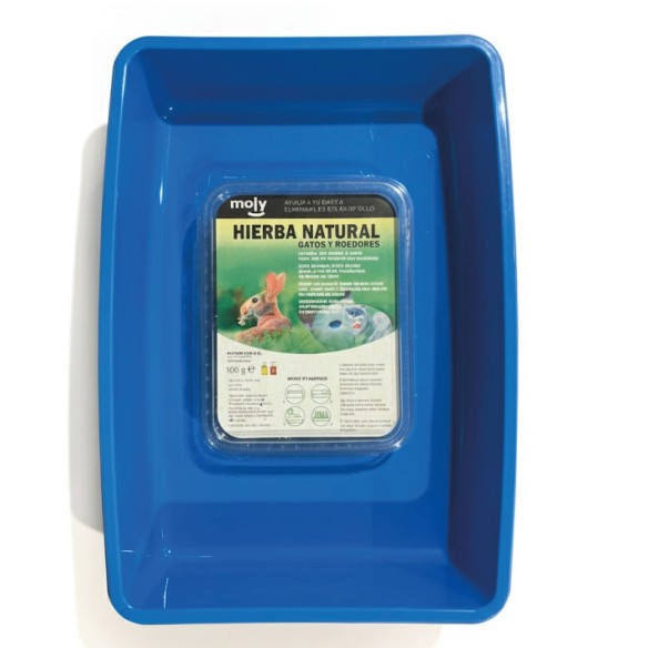 Kit Hierba de Gato Moly 100 g con Bandeja Compacta | Digestión Natural y Bienestar Felino