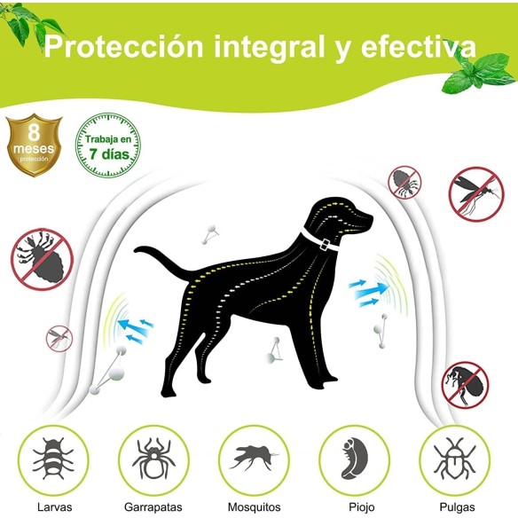 Collar Antiparasitario Moly para Perros y Gatos Medianos y Grandes 62,5 cm | Pack 2 Unidades | Protección Natural 8 Meses
