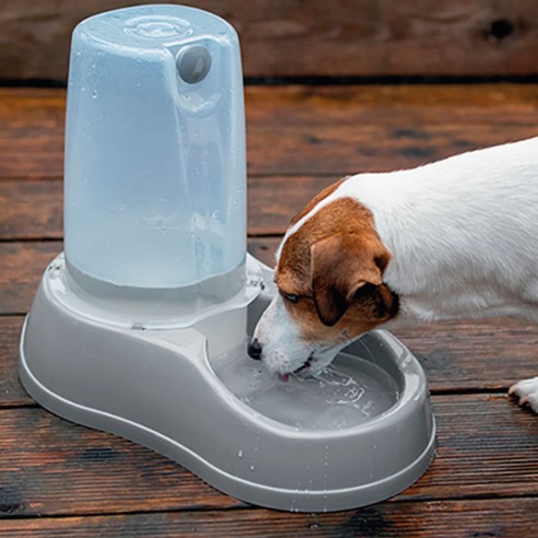 Bebedero Comedero Break Reserva 0,65 L para Mascotas