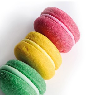 15 Macarons de Galletas para Perros Moly – Estuche de Snacks Premium 2