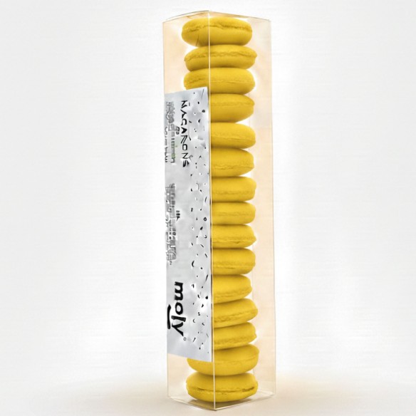 15 Macarons de Galletas para Perros Moly – Estuche de Snacks Premium