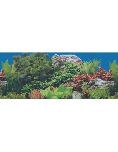 Papel Decorativo 30cm x 1m para Mascotas - Modelos Únicos 2