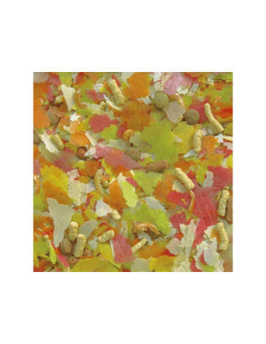 MOLY SUPER-MENU ESTANQUE 600 gr/ 5.5 L - 