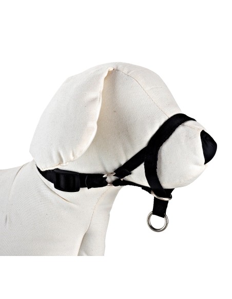 DOG CONTROL N.4 38cm