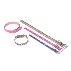 Collar de Cuero con Hueso Beige 1.90x40cm para Mascotas 2