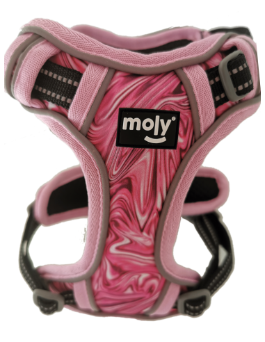 Arnes Acolchado Modelo Oxford Talla S