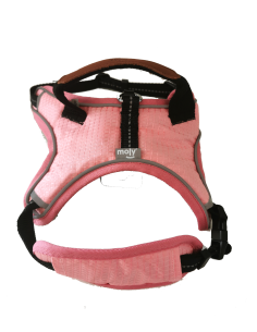 ARNES BLUE/PINK CONFORT MOLY TALLA S - 2