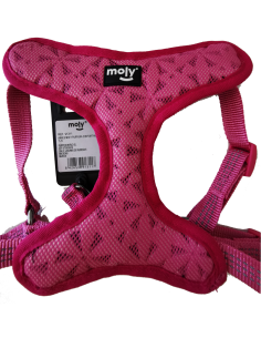 Arnés Púrpura Confort New S