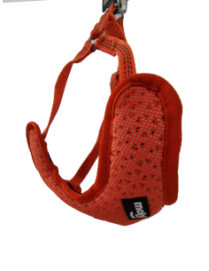 Arnés Púrpura Confort New S 2