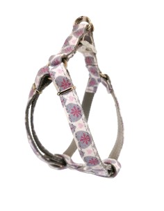 PETRAL CORAZONES T-5 40-50*2