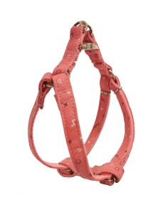 PETRAL MOLY SALMON T-5 40-50*2