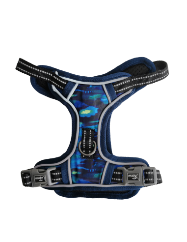 Arnes Acolchado Modelo Oxford Talla S