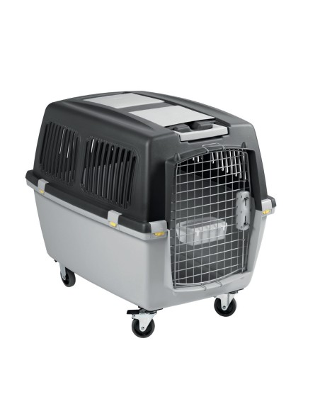 TRANSPORTIN GULLIVER IATA N.5 - 