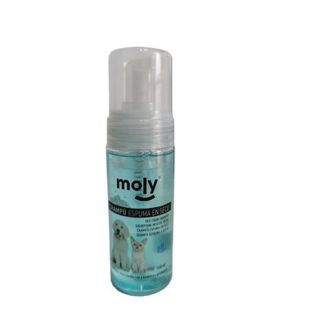 CHAMPU ESPUMA EN SECO 150ml - 