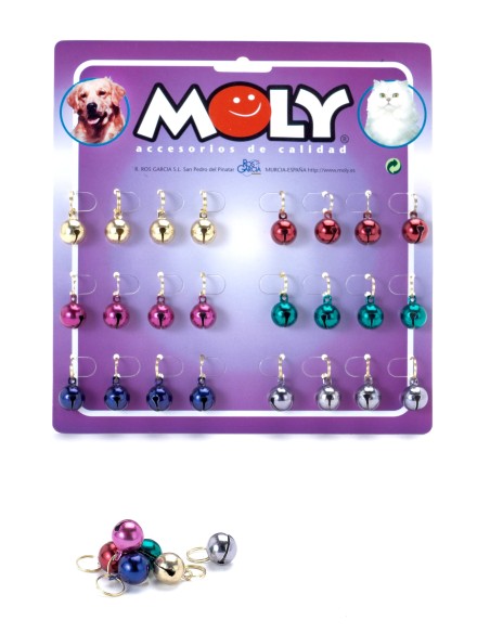 EXPO X 24 CASCABEL COLOR - 