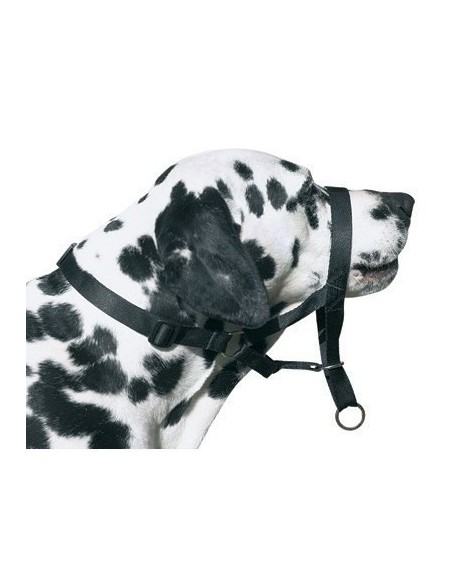 DOG CONTROL N.7 BOXER 54 CM - 