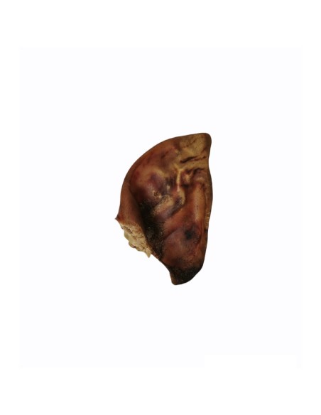 EXPOSITOR OREJA DE CERDO SECA 45 UNID - 