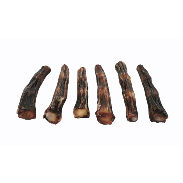 RABO DE BUEY 12 CM - 