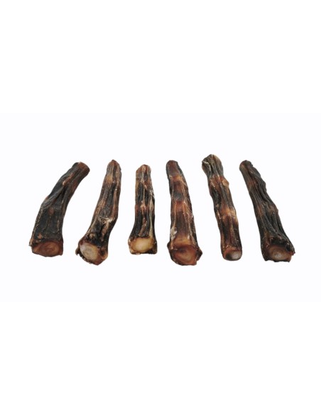 RABO DE BUEY 12 CM - 