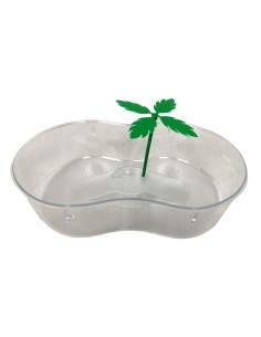 Tortuguera Plástico con Palmera 31x21 cm para Tortugas 2